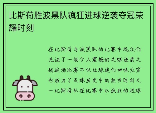 比斯荷胜波黑队疯狂进球逆袭夺冠荣耀时刻